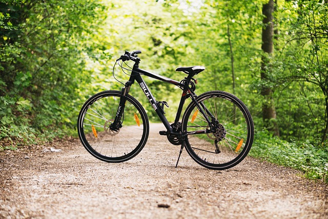 Minilening fiets