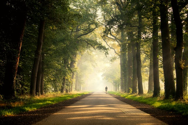 Gravenallee Almelo